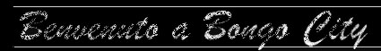 logo.JPG (11086 bytes)