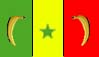senegal.jpg (3713 bytes)